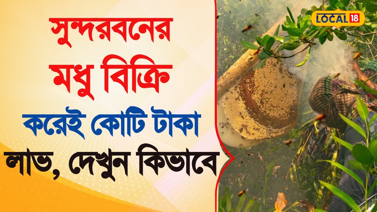 Bangla News | সুন্দরবনের মধু বিক্রি করেই কোটি টাকা লাভ, দেখুন কিভাবে | Sundarban Honey  |  #local18