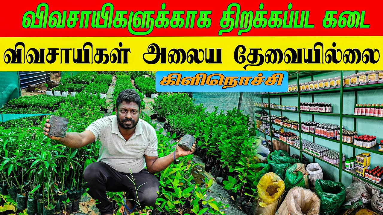 நீங்களும் எனி விவாசாயிதான் | agriculture farm kilinochchi #kilinochchi