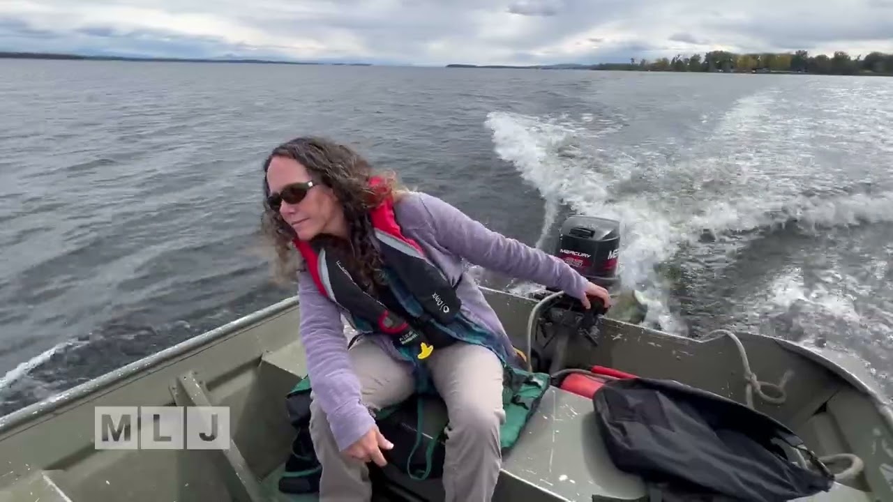 Invasive Water Chestnut species found near Lake Champlain