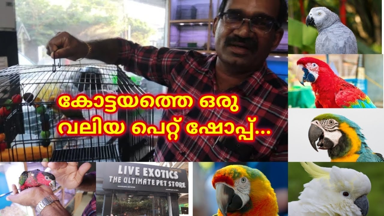 കോട്ടയത്തുനിന്നും മിട്ടുവിന് കൂട്  വാങ്ങി...#PetsShop