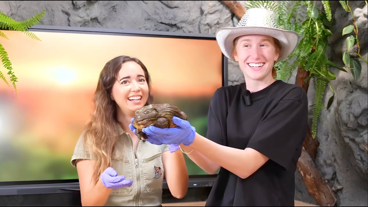 KatieB Goes To Maya Higa's Alveus Sanctuary!