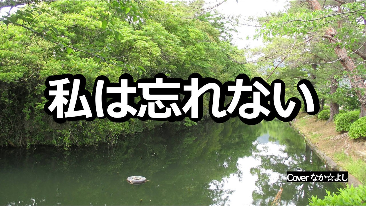 私は忘れない／岡崎友紀【うたスキ動画】