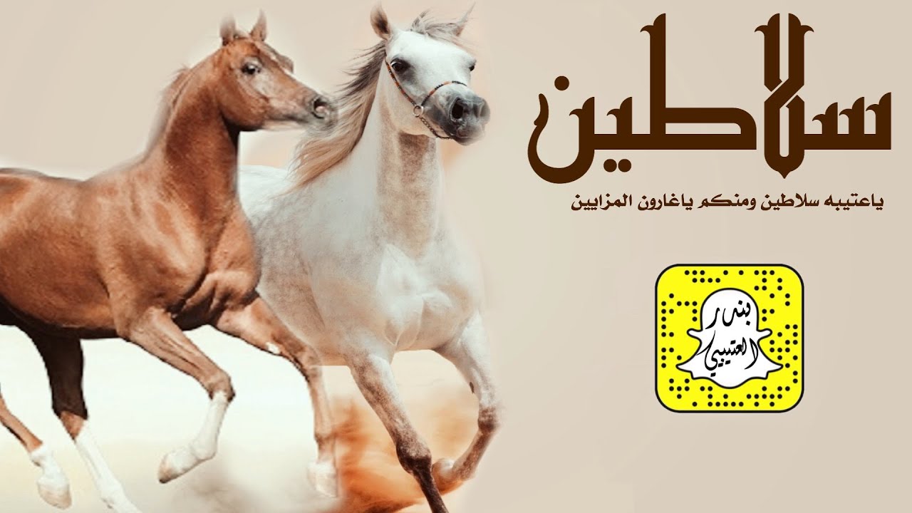 شيلة سلاطين ياعتيبه سلاطين ومنكم ياغارون المزايين اداء سعد محسن 2022 حصرياً