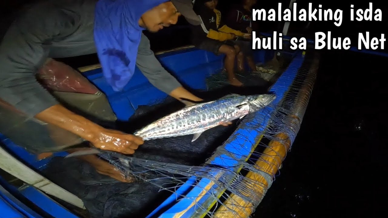 Blue Net Palutang | Hanger magaling panghuli ng Tanigue,Tuna,Marlin at Barracuda