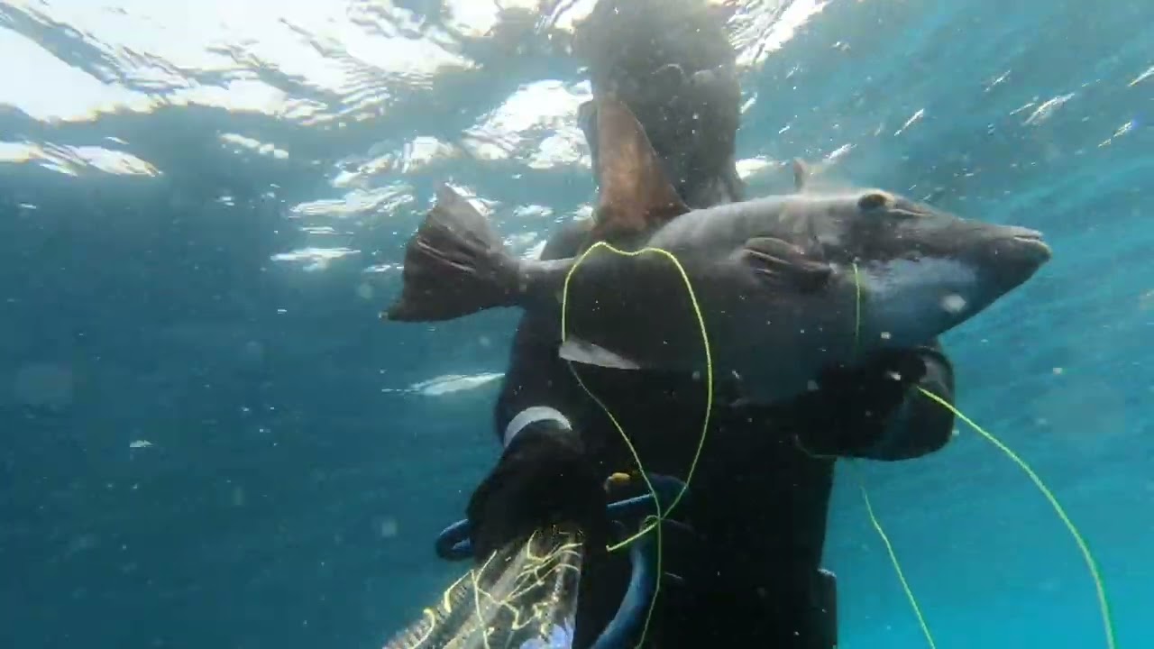 Spearfishing Palmeira rocks  Sal Island  Cabo Verde   HD 1080p
