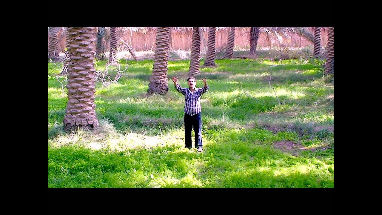 أحساء العزة