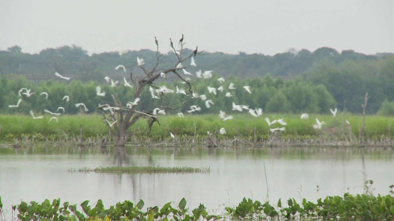 A Walk in the Wetlands, Brief History (A Production of The City of Waco)