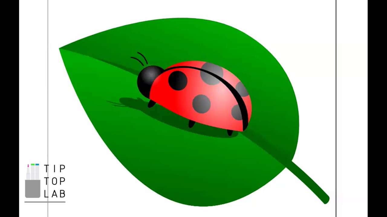 Inkscape Tutorial: Ladybird On Leaf