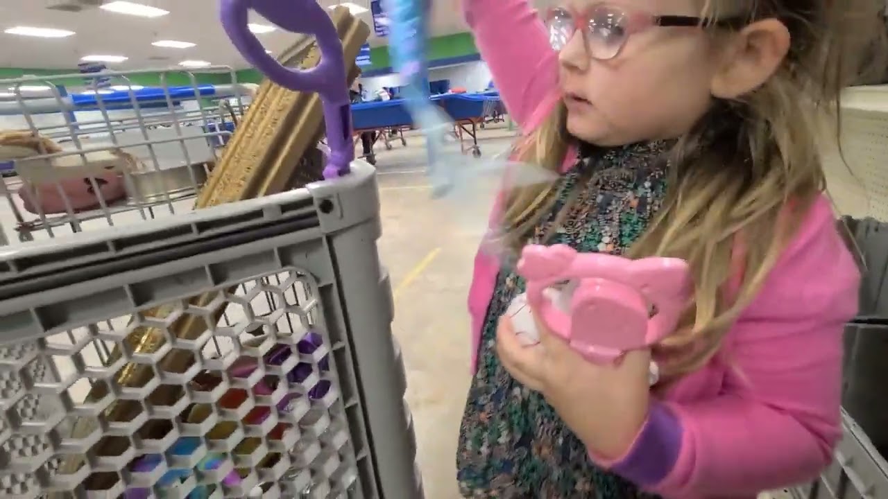 treasure hunting at the Goodwill Bins with Wryn Lucille