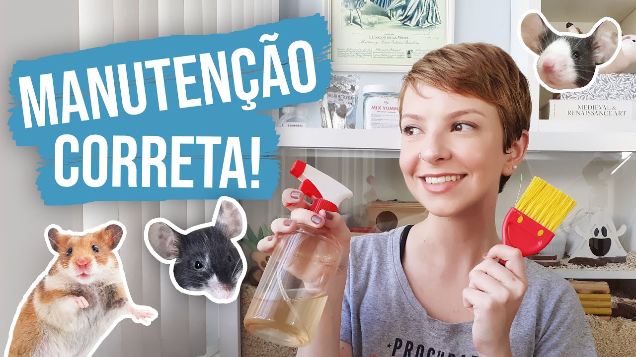 Como LIMPAR alojamento de HAMSTERS? | Respondendo perguntas dos seguidores