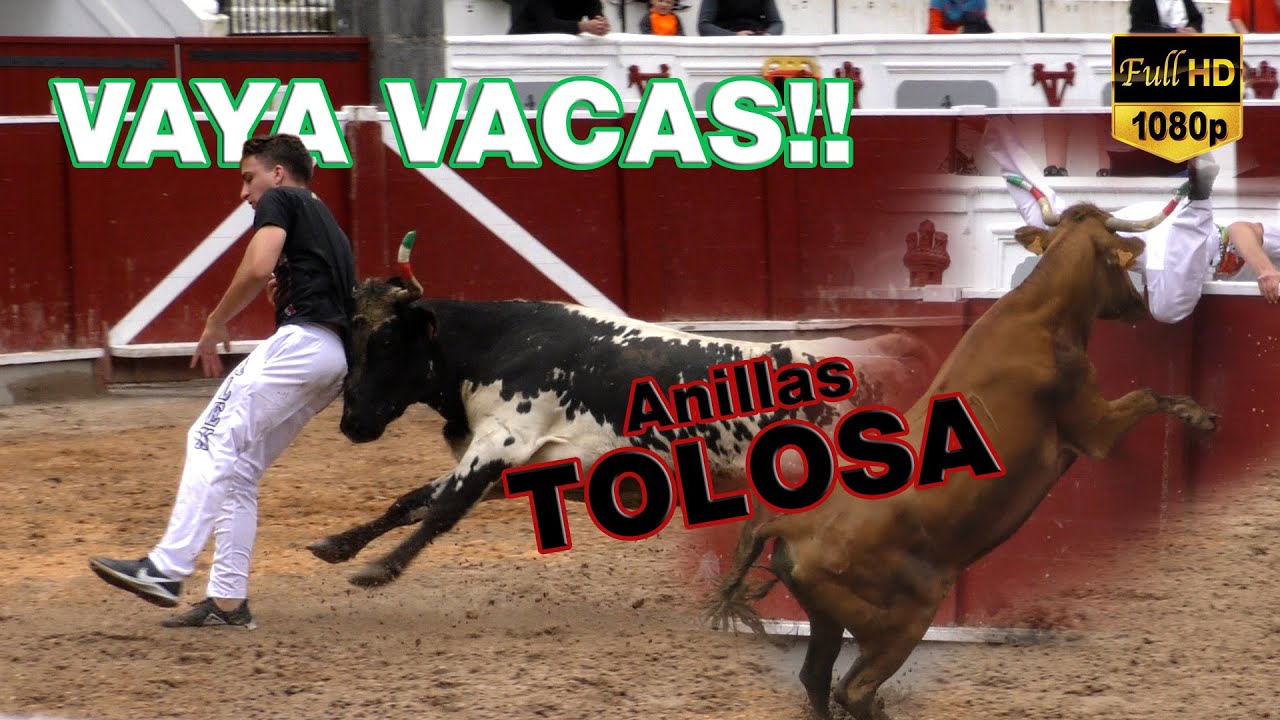 VAYA VACAS DE MARQUÉS DE SAKA! Concurso de ANILLAS Tolosa