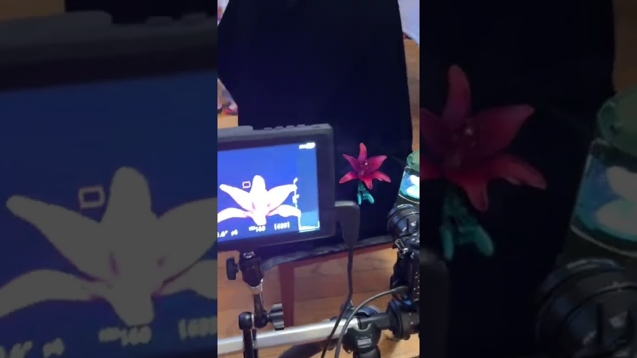Epic setup and photo (epic sound 😆)