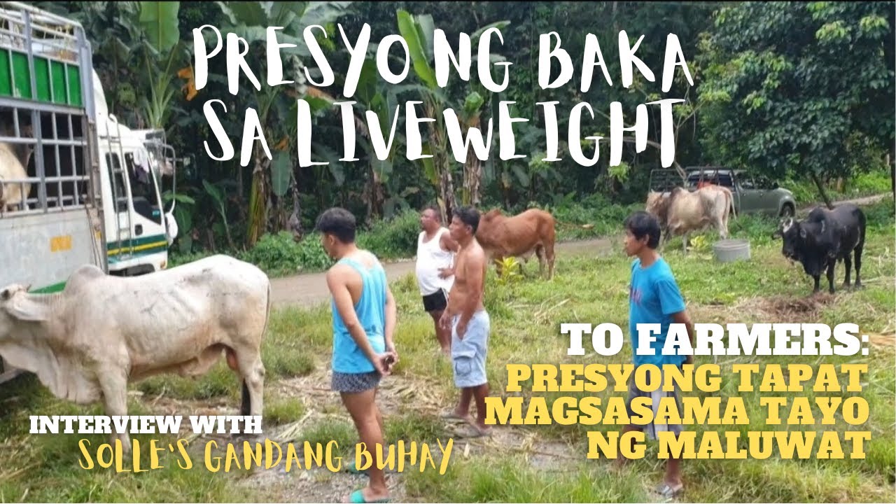 PRESYO NG BAKA SA LIVEWEIGHT | PRESYONG TAPAT, MAGSASAMA TAYO NG MALUWAT| INTERVIEW W/ SOLLE'S G.B