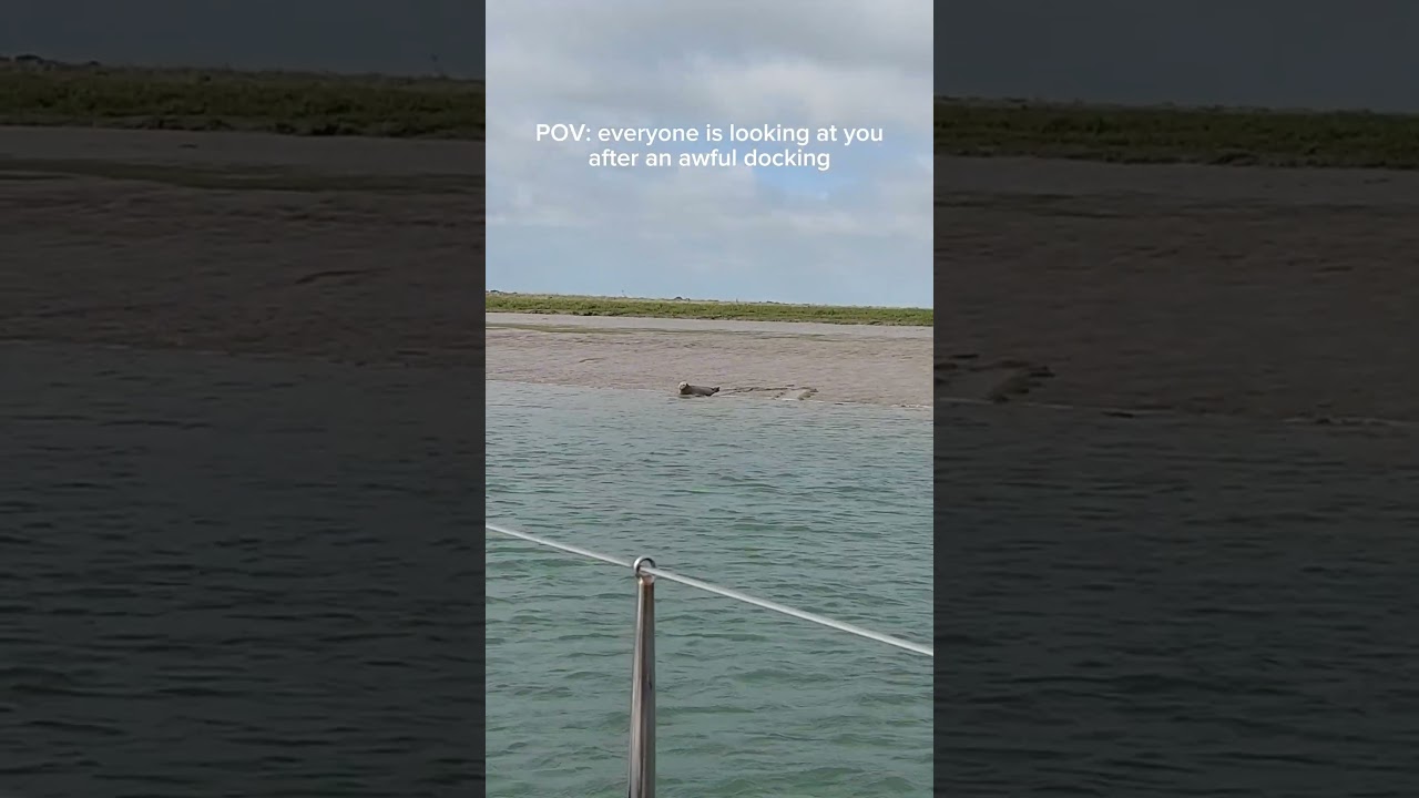 Why people stare when you dock?#sailing #sailingpassion #sailinglife #sailboat #sailingadventures