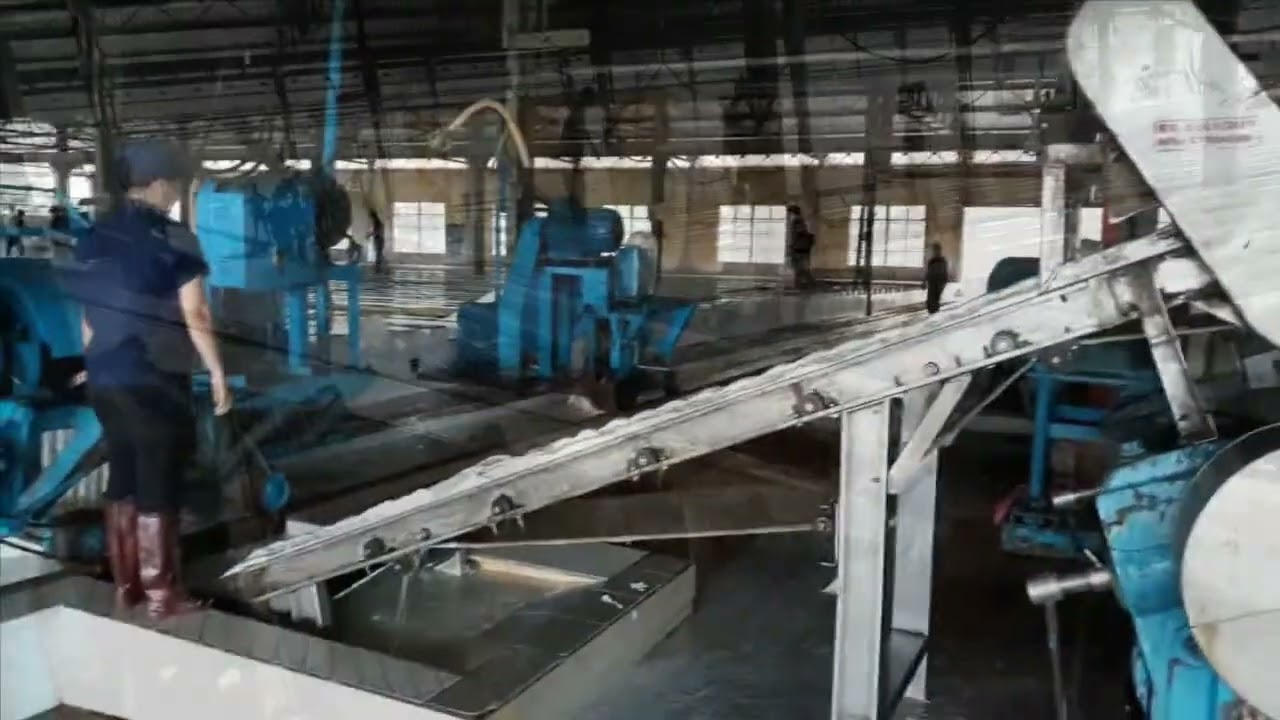 CHẾ BIẾN SẢN PHẨM SVR CV50, SVR CV60