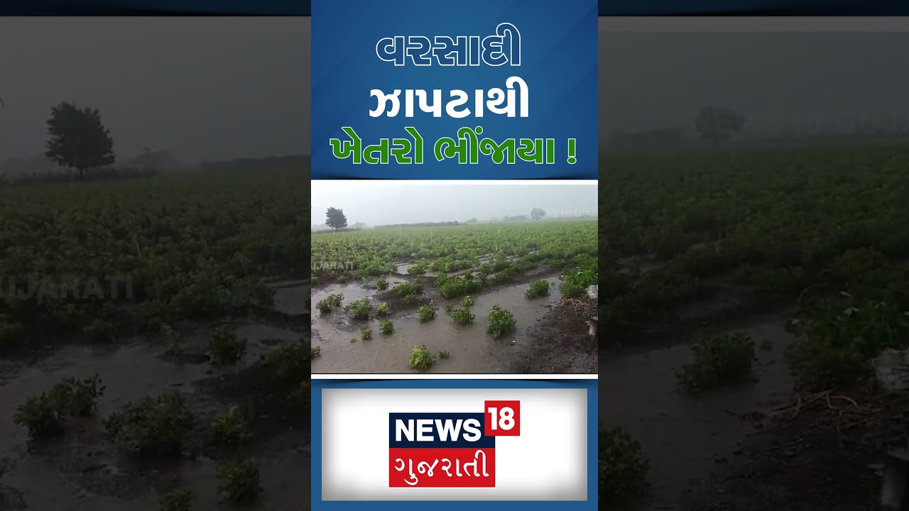Amreli Rain | વરસાદી ઝાપટાથી ખેતરો ભીંજાયા ! | Jafrabaad | Gujarat Rain | Monsoon | N18S