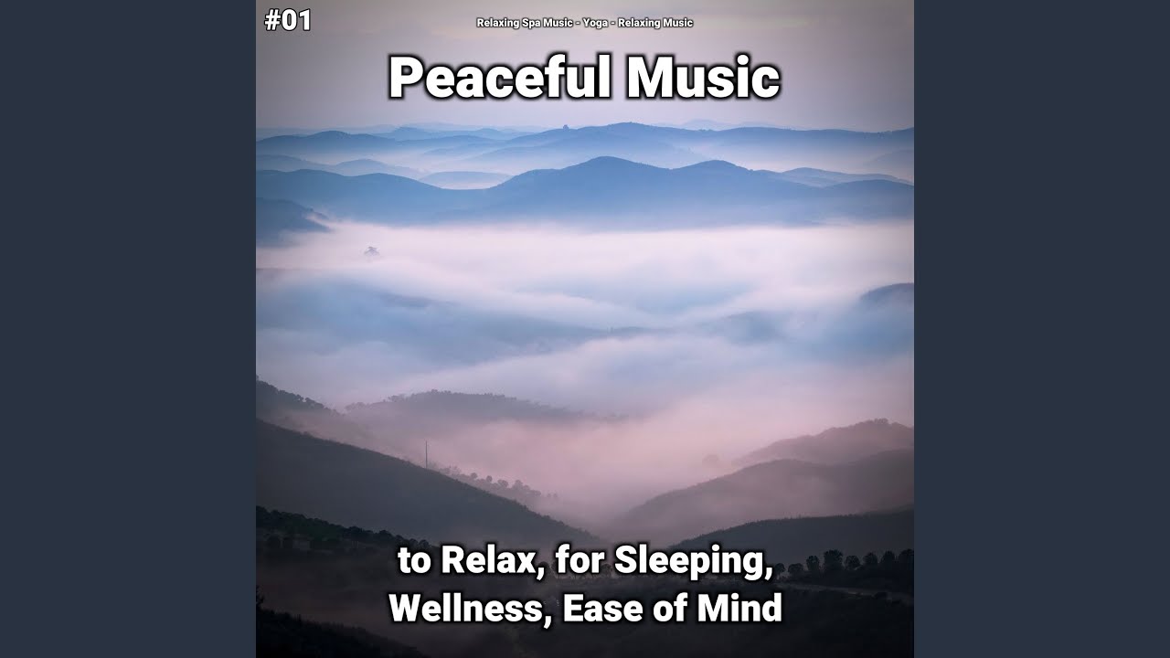 Splendid Sound