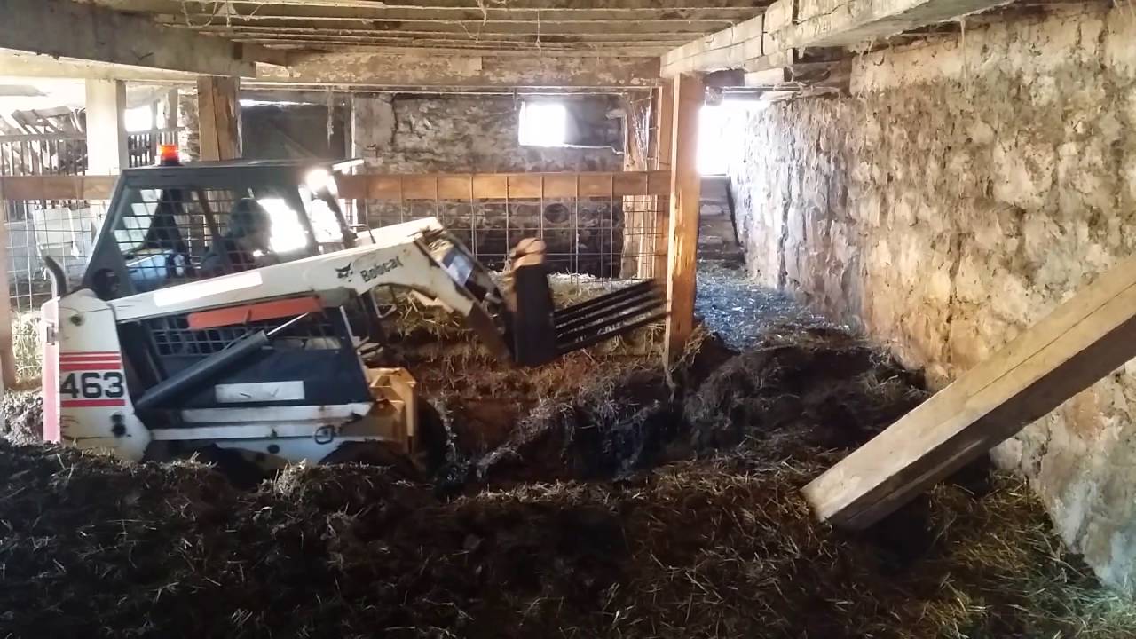 Bobcat 463 with manure fork.