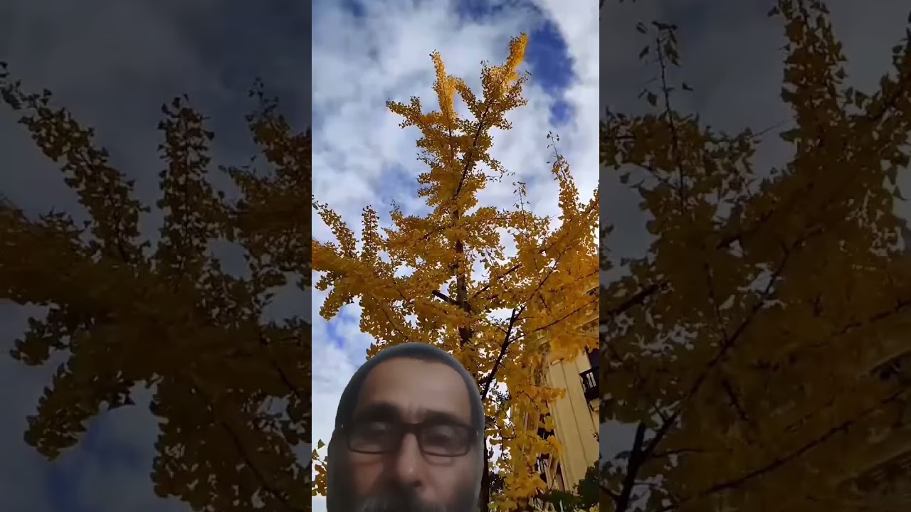 🔥Visita Calle Gran Vía de Colón, Granada, España🇪🇸 