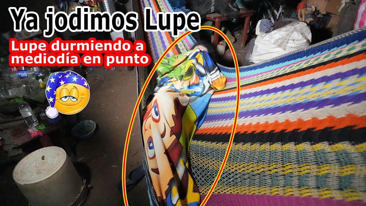 Increíble.. que vida la de Lupe, vean como la encontramos durmiendo a mediodía en punto - Ediciones