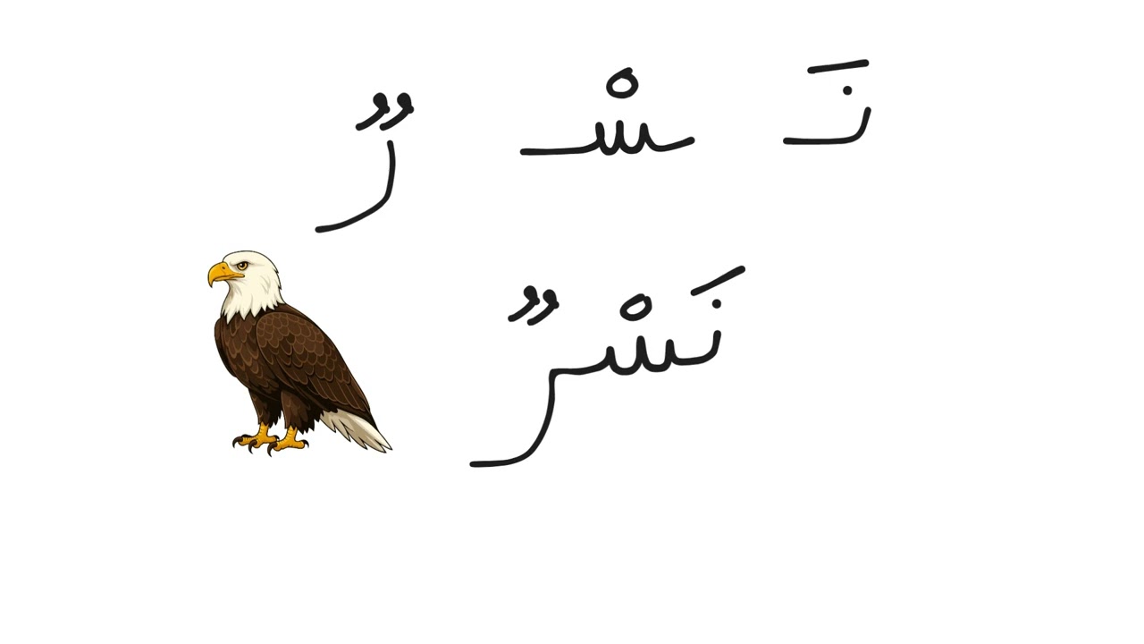  تركيب الكلمات Word Formation 