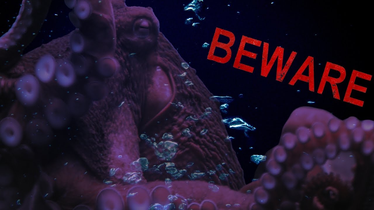 BEWARE THE KRAKEN!