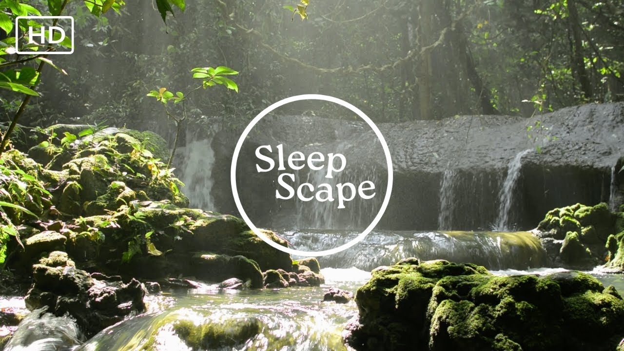 Tranquil Jungle Waterfall &bull; Original Music by SleepScape