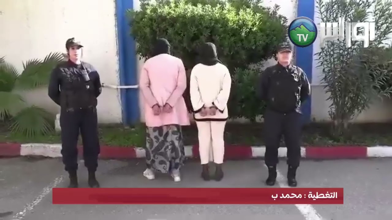 توقيف امرأتين بسكيكدة بسبب فيديوهات مسيئة على تيك توك