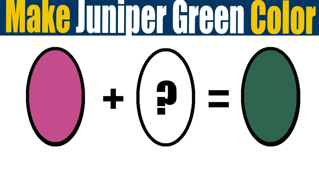How To Make Juniper Green Color  What Color Mixing To Make Juniper Green