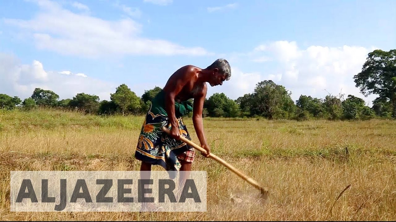 Severe drought hits Sri Lanka farmers