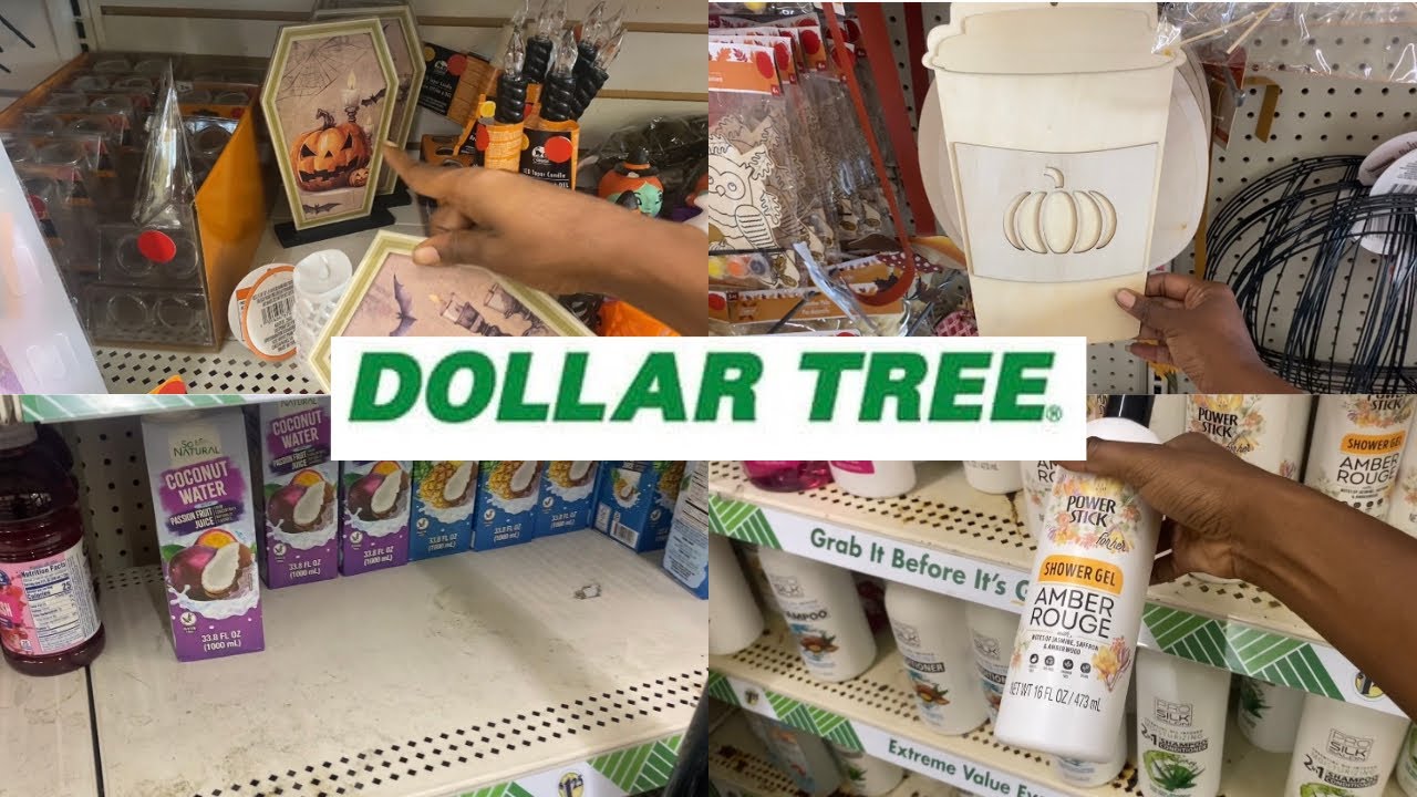 SHOP WITH ME AT DOLLAR TREE | QUICK DOLLAR TREE RUN | MORE SEASONAL FINDS