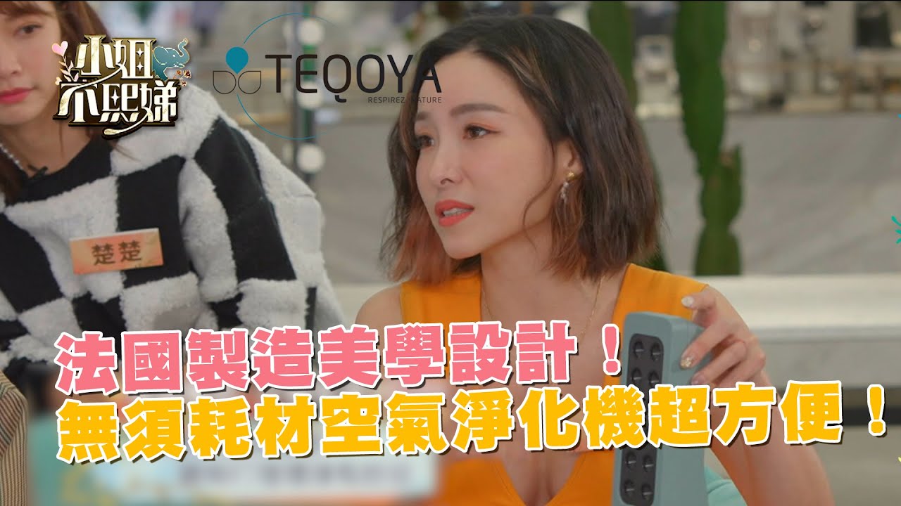 法國製造美學設計！無須耗材空氣淨化機超方便！
