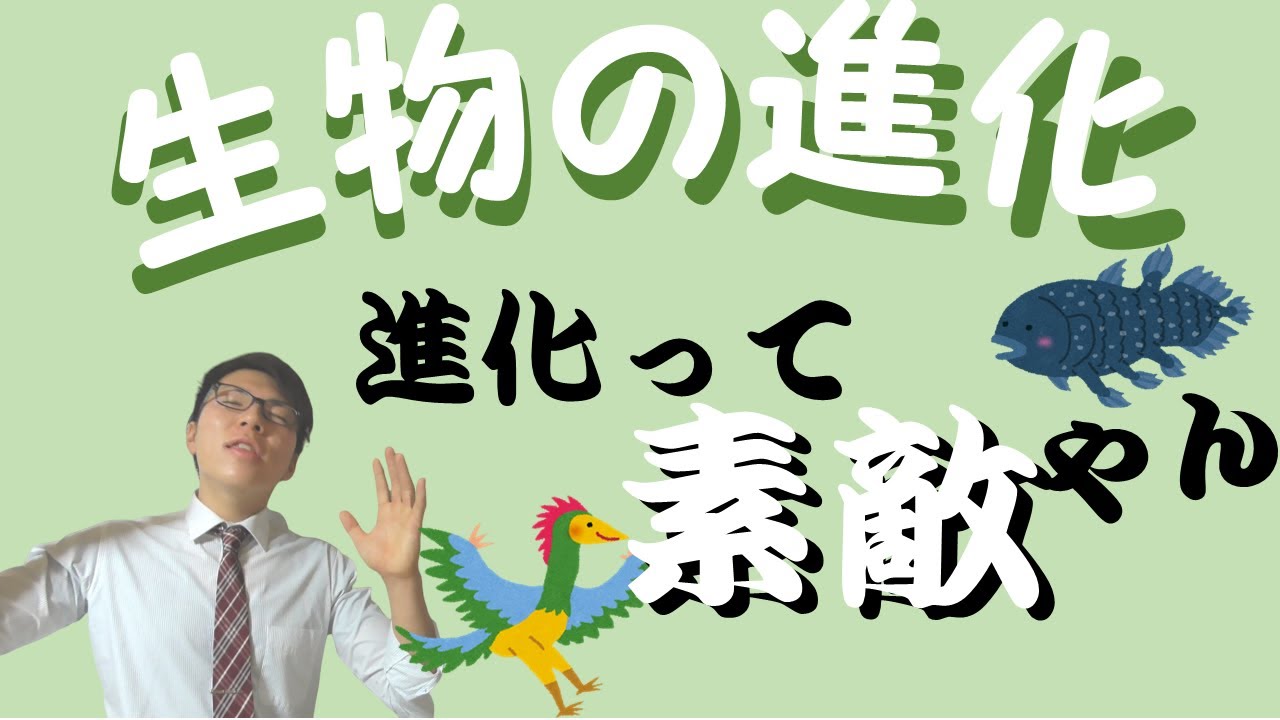 【中学理科】生物の進化～生物の進化の過程をみよう～ 2-15【中２理科】