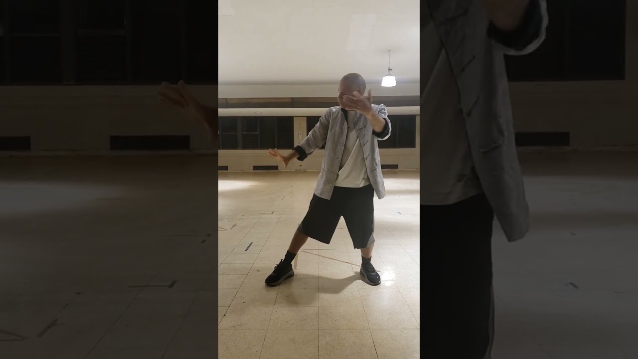 Tai Chi Form ~ Swimming butterfly | flow version