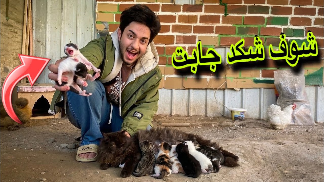 واخيرا جابت البزونه ولاكن الصدمه😣شوفو شنو صار من جابت😢