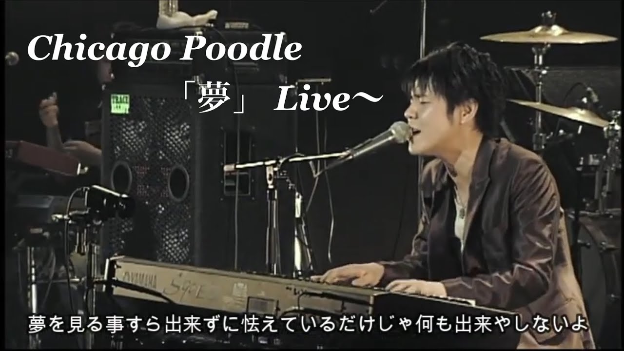 Chicago Poodle「夢」/LIVE.ver/歌詞が心に響きます/今までの自分はもう終わりにしよう