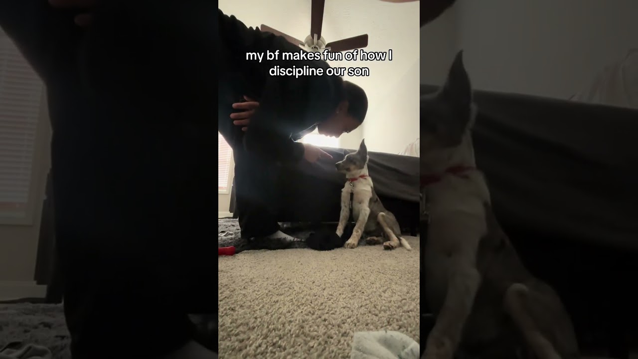 Chat is this why he doesn&rsquo;t listen to me? #dog #dogs #puppy #puppies #dogshorts @itsanadummy