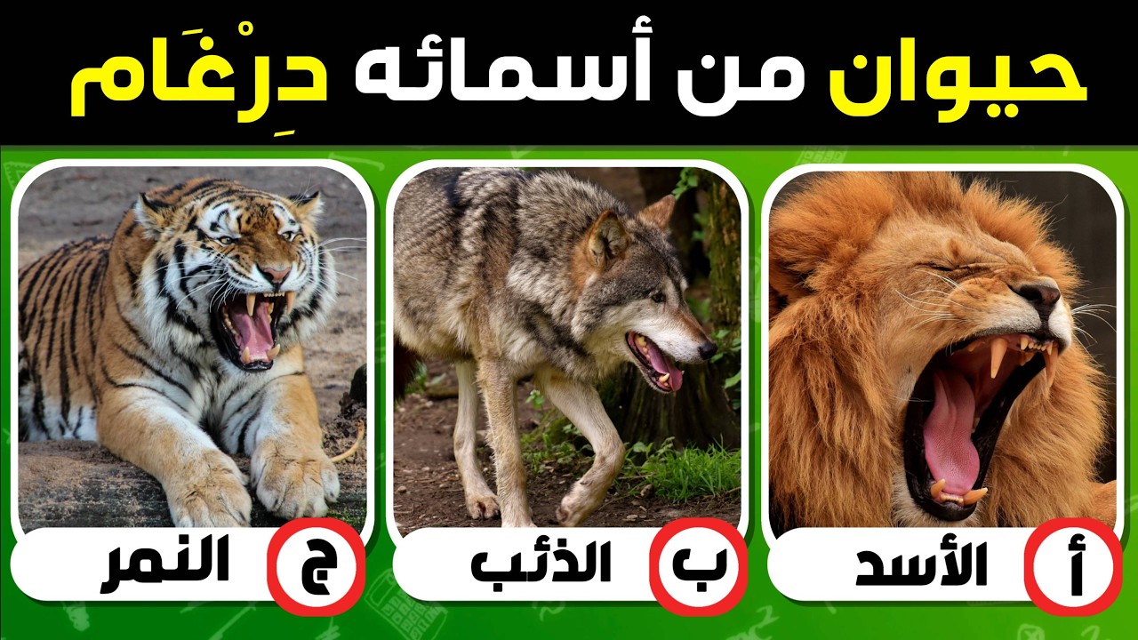اسئلة ثقافية ممتعة واجوبة 🧠🤯 اختبر ثقافتك العامة💡