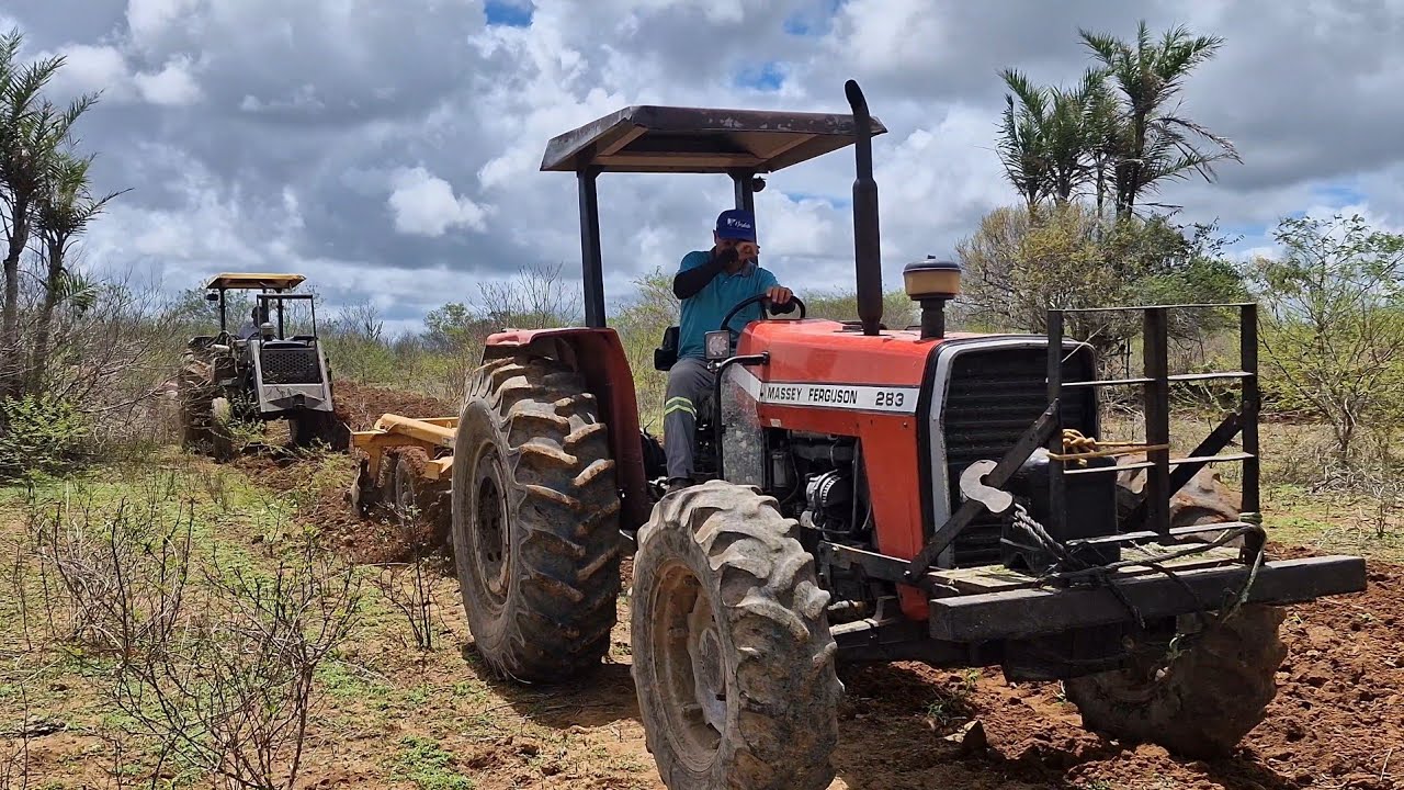 O trator das 7 atoladas  eo MF 290 disfarçado de jonh deere cortado terra juntos