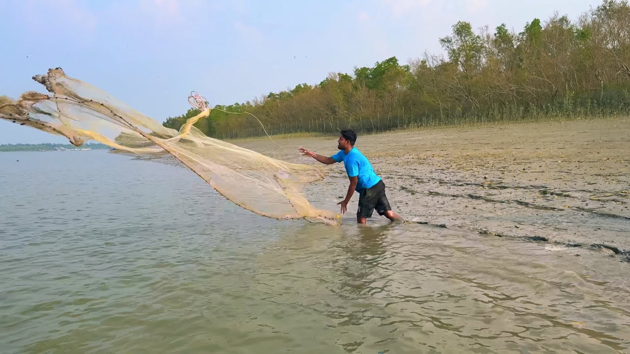 নদীতে হাতসুত দিয়ে সুন্দরী মাছের সাথে সাথে বেশ কটা ভোলা মাছ পেলাম sundarban fishing!!!