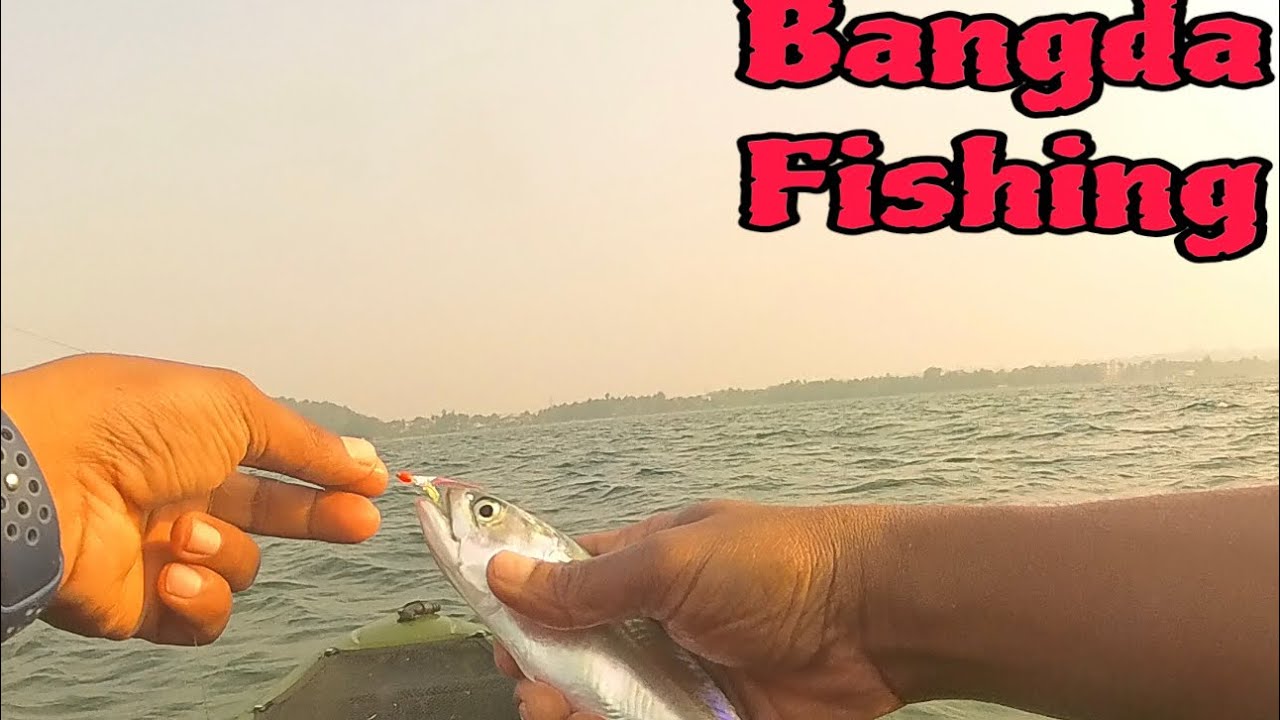 How to catch Bait fish offshore  || Bangda  -Mackerel fishing from kayak || My kayak full of Bangda