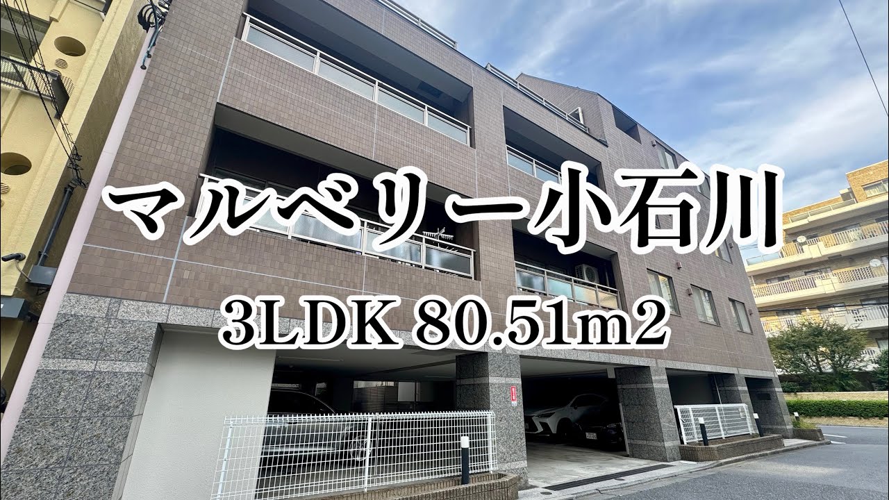 マルベリー小石川 3LDK (80.51m2) / 文京区・小石川 平置き駐車場完備のファミリー物件のご紹介。