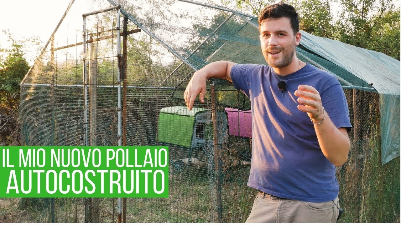 Il mio nuovo POLLAIO FAI DA TE 🐔🐓🐣
