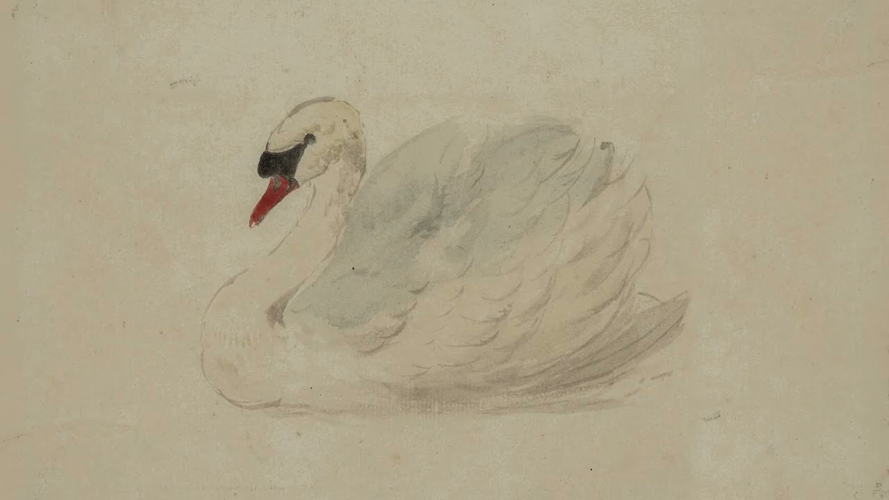 Art For Your TV | 2 Hour Vintage Painting | Mute Swan 🦢 | Screensaver Ambience | Background Art