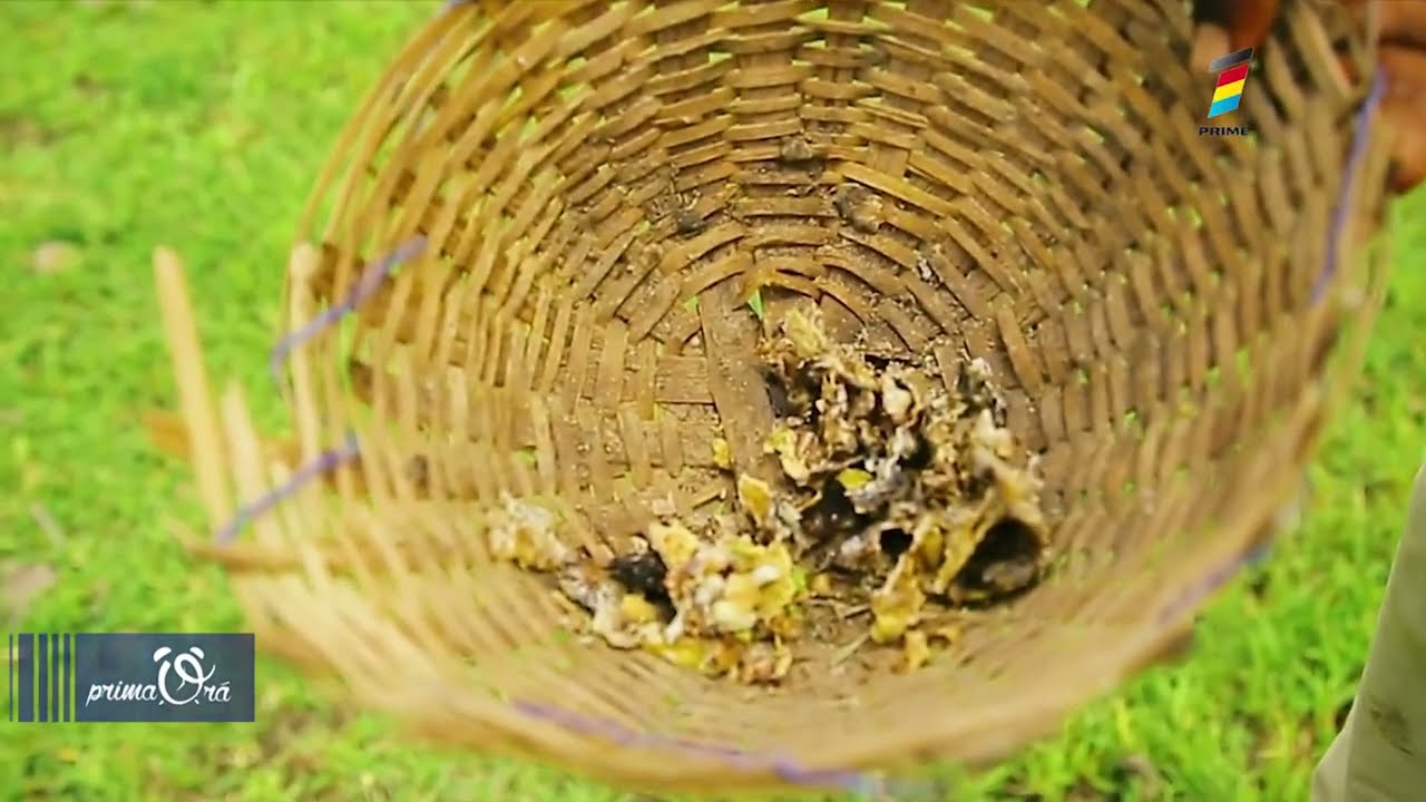 TOTUL DESPRE TĂM&Acirc;IE ŞI NU DOAR DIN PUNCT DE VEDERE RELIGIOS. REMEDIU PENTRU SĂNĂTATE ŞI SUFLET.