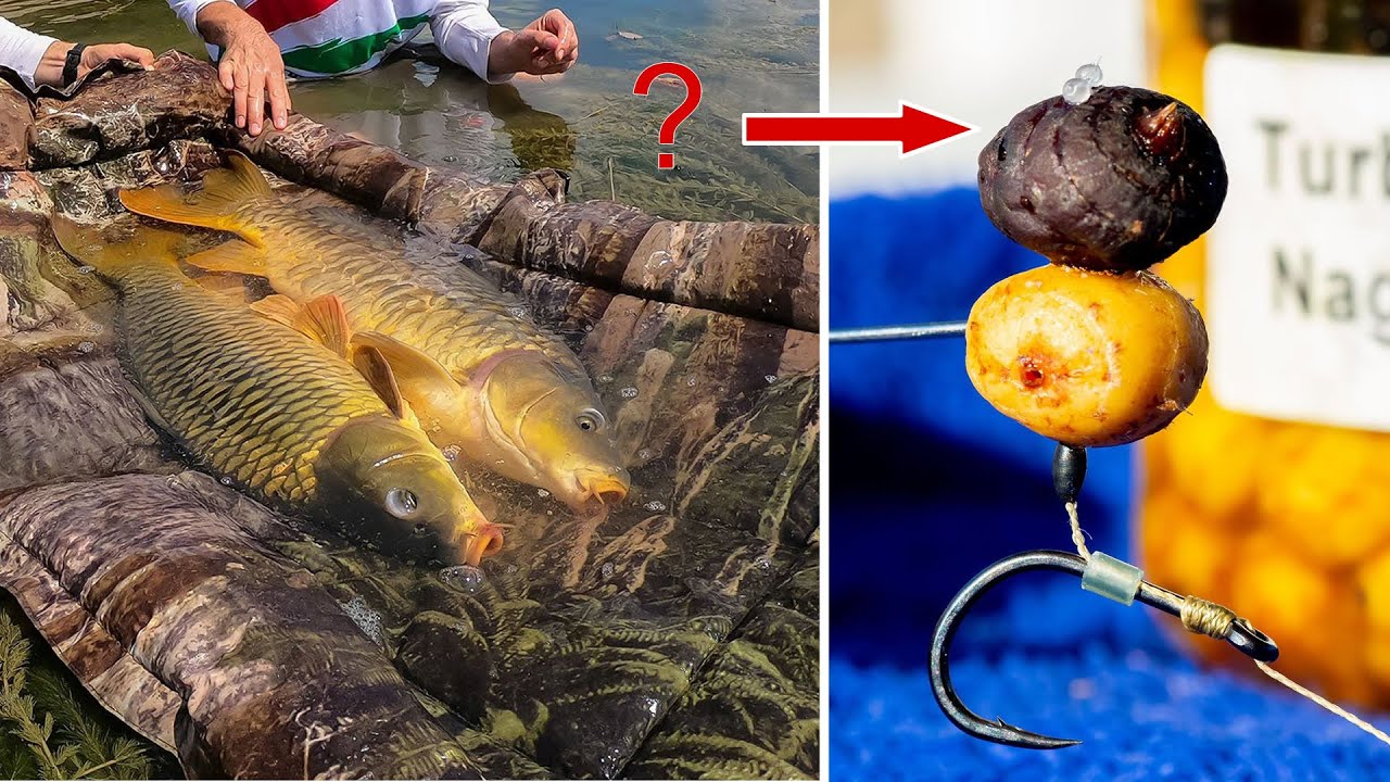 Raj pre kaprárov - rybárske video od feeder šampióna Gábora Döme