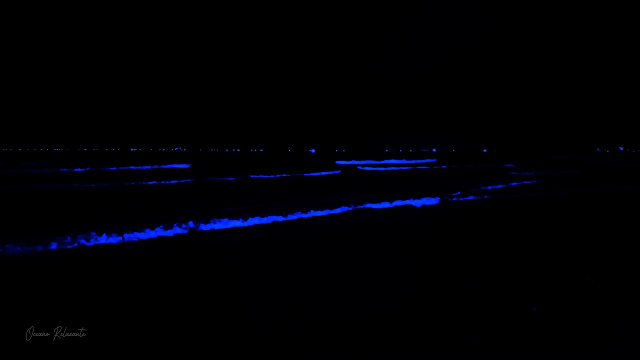Soothe the Nervous System • Relaxing Ocean Wave Sounds Heals Anxious Minds • Calming The Soul