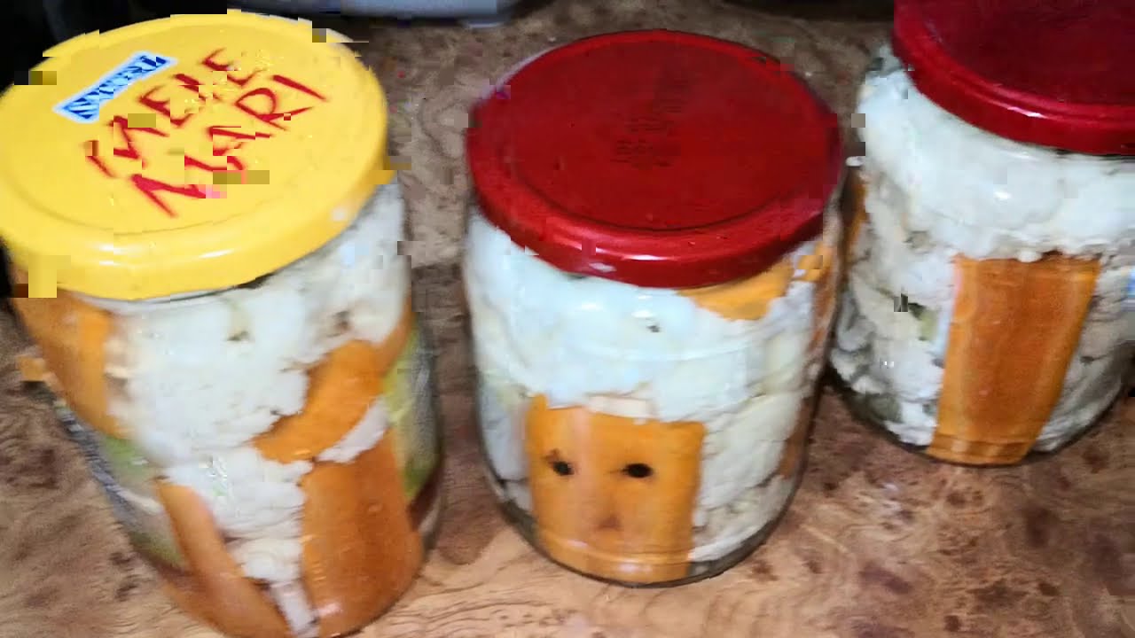 CONOPIDA MURATA LA BORCAN - MURATURI PENTRU IARNA
