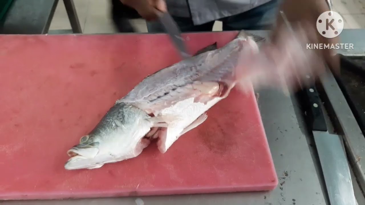 Fish Fillet processing