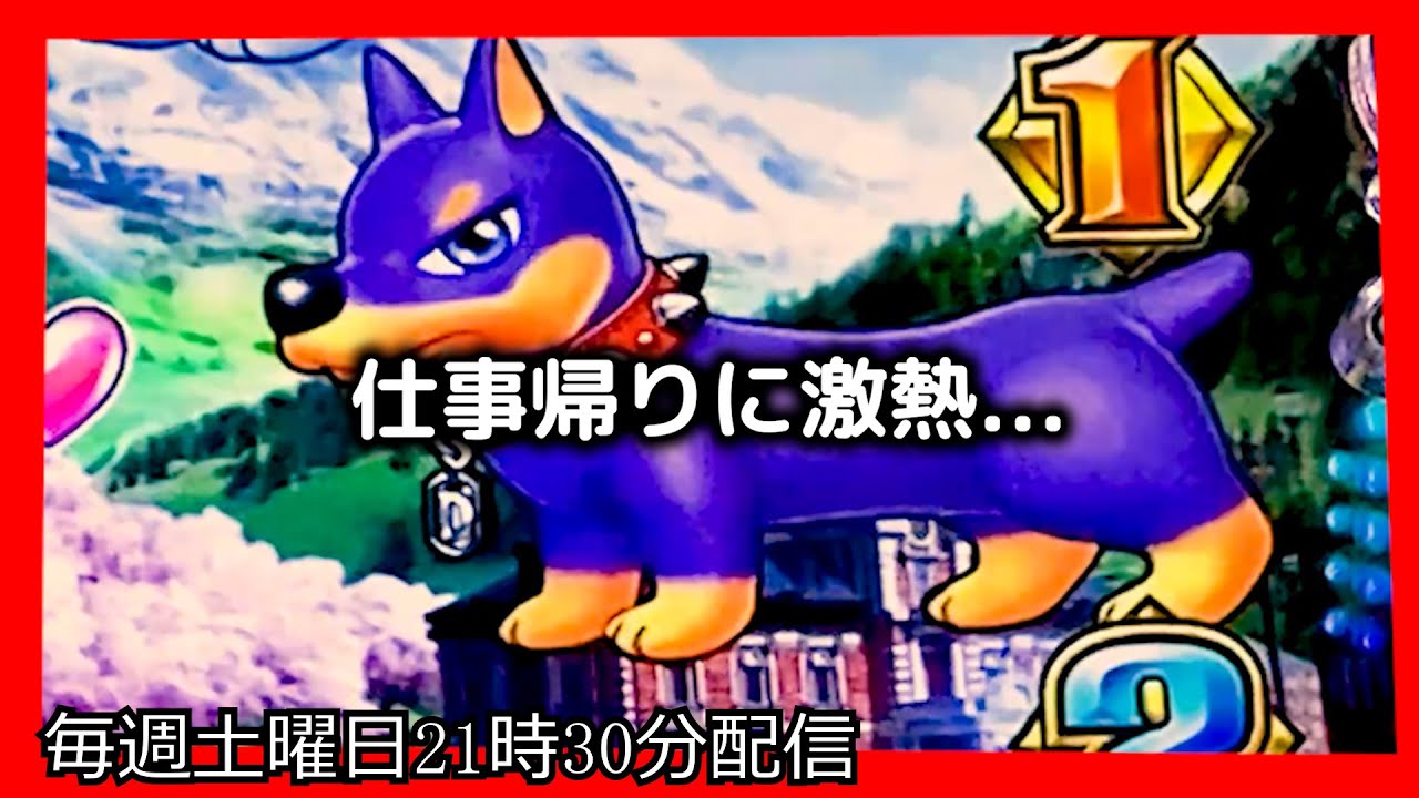 ラッキートリガーでお金を増やそうとしてみたら、とんでもない激熱がやってきました。【PAわんわんパラダイスCELEBRATION】【沖海5 パチンコ 海物語 ライブ ガチ践大海5!】#パーラーあげ実